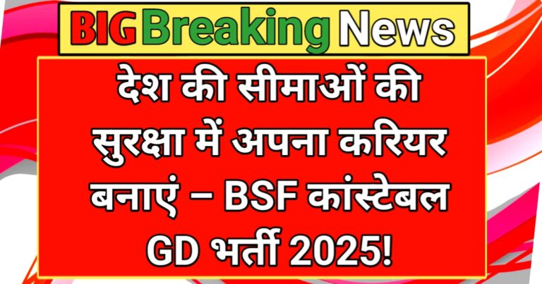 BSF GD Vacancy