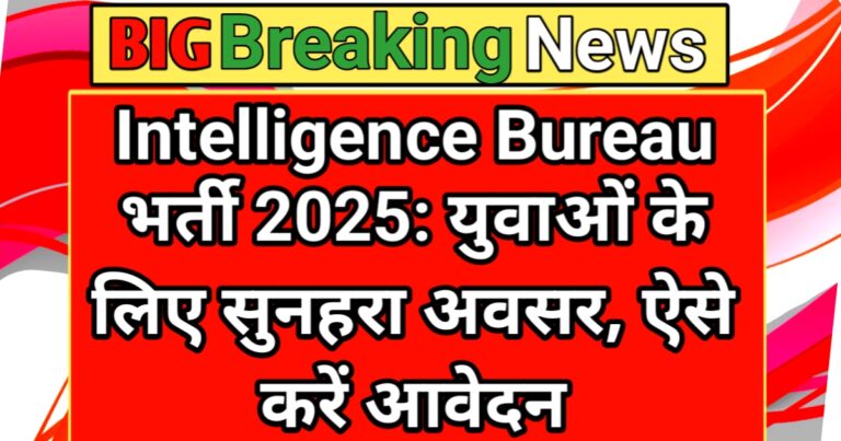 Intelligent Buro vacancy 2025
