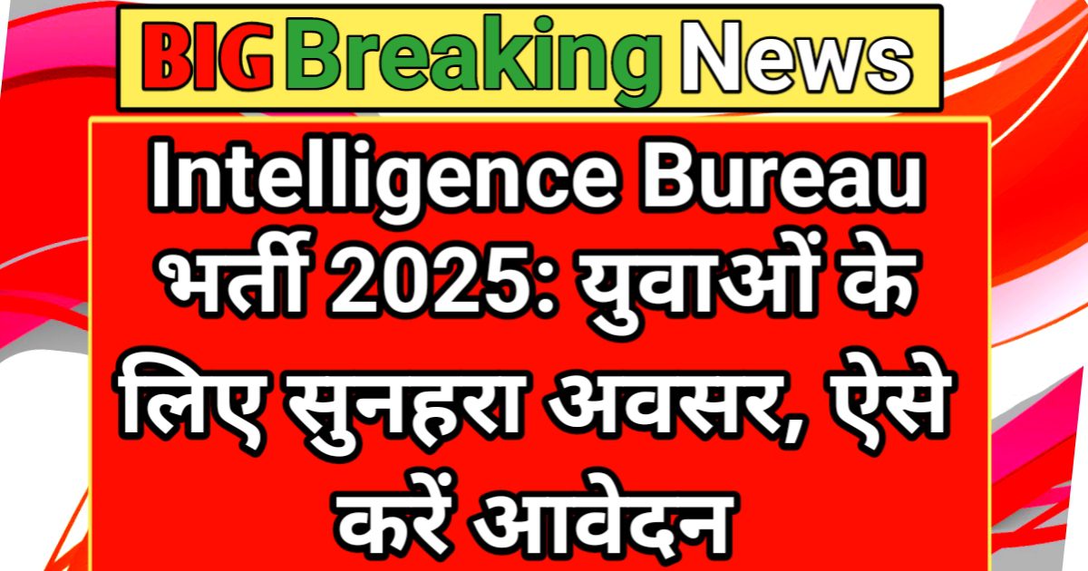 Intelligent Buro vacancy 2025